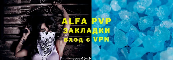 индика Кулебаки