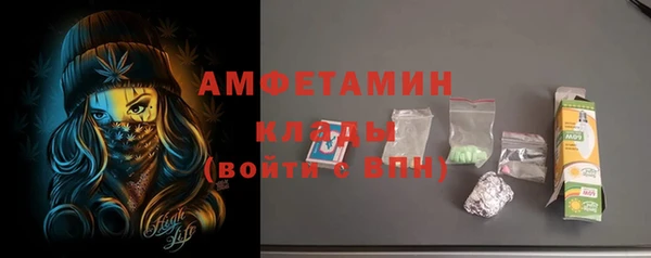 ECSTASY Алзамай